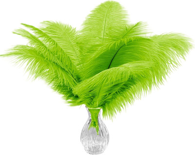 Natural Black Ostrich Feathers Bulk  Multiple Sizes & Qty Options for DIY Crafts