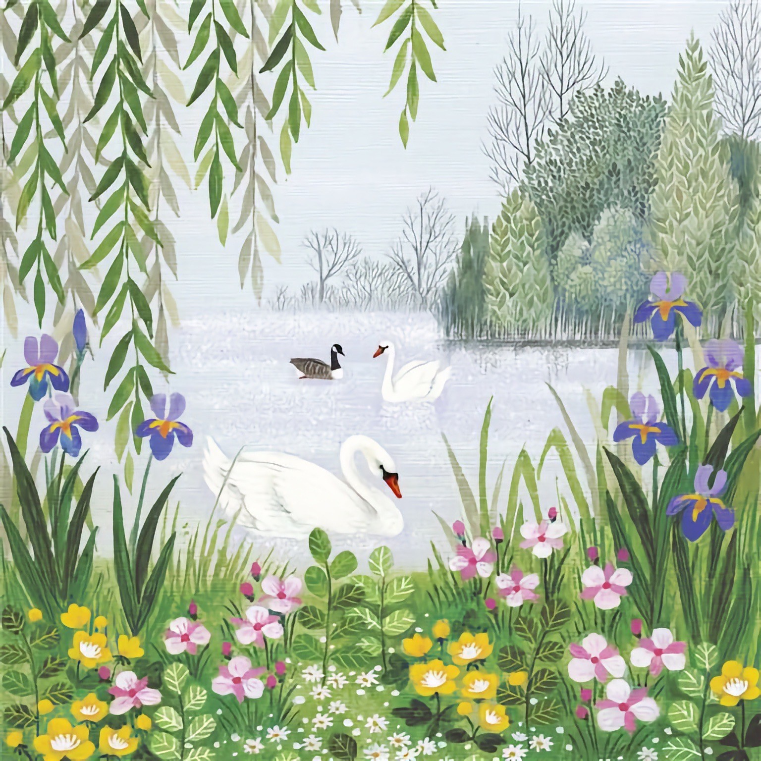 Swans Premium Card Lake Scenic Male Female Birthday Thank You Congratulations