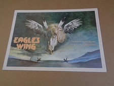 Martin Sheen - Eagle Wing - 1979 Film Synopsis