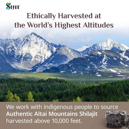 Pure Shilajit Resin 5 Month Supply Golden Grade Altai Mountains Russia - Picture 4 of 10