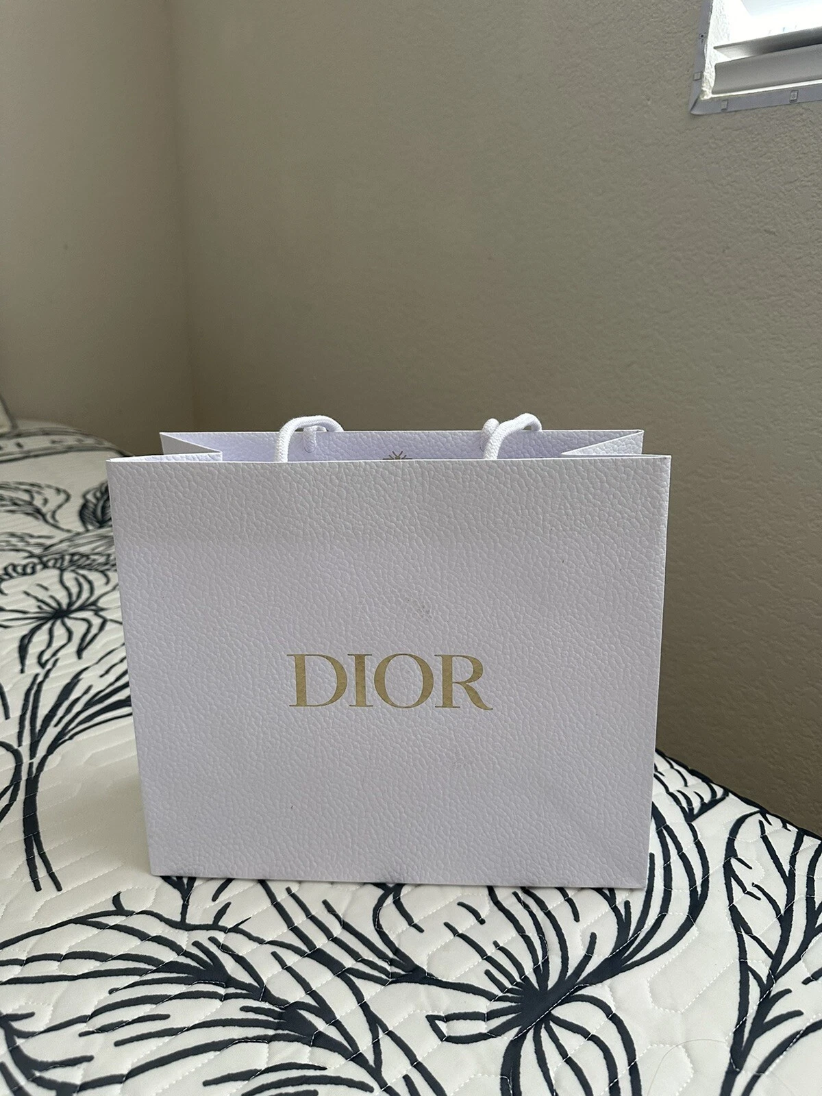 Sac cadeau shopping dior. pls vérifier mon placard pour plus d'articles.