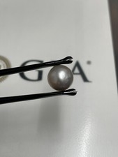 6.53 ct GIA Certified 9.80 mm Cultured Saltwater Pearl Pinctada Species. LP9