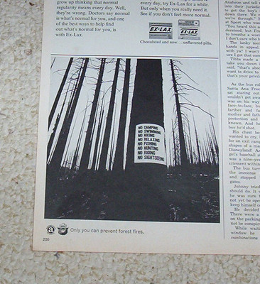 1969 print ad - Smokey Bear - Only you can prevent Forest Fires Clipping ADVERT
