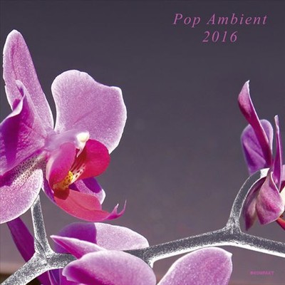 VARIOUS ARTISTS - POP AMBIENT 2016 NEW CD