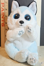 TY Beanie Baby Beanie Bellies - 6" Thunder the Blue & White Husky Dog  -No Tag