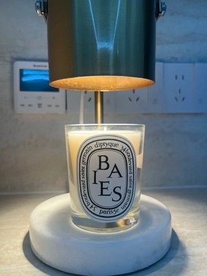 Diptyque Baies Scented Candle 6.5 oz (190 g) Candle New & Boxed US