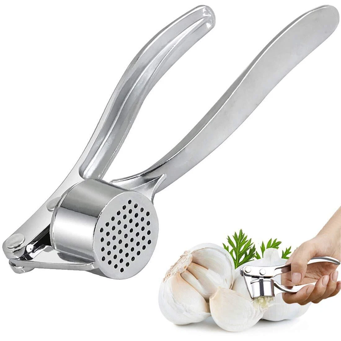 Stainless Steel Garlic Presser / Garlic Cutter Chopper for Kitchen-1 pcs