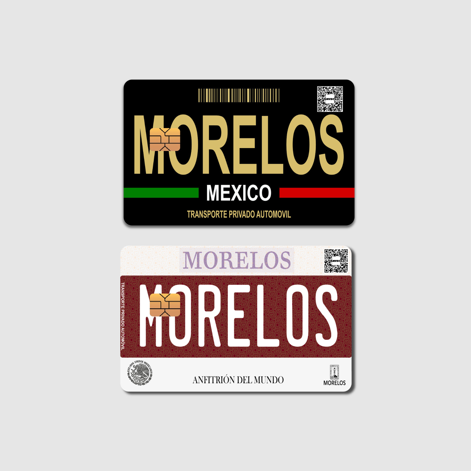 Mexico Placas Negras Edition - Mexican Plates - Credit and Debit Card Sticker