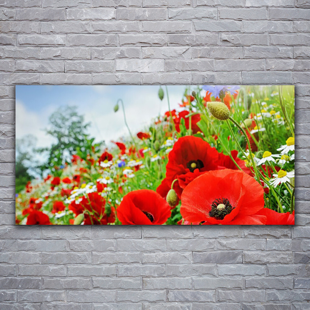 Tableau fleurs pour salon moderne décoration murale nature sur toile 120x60