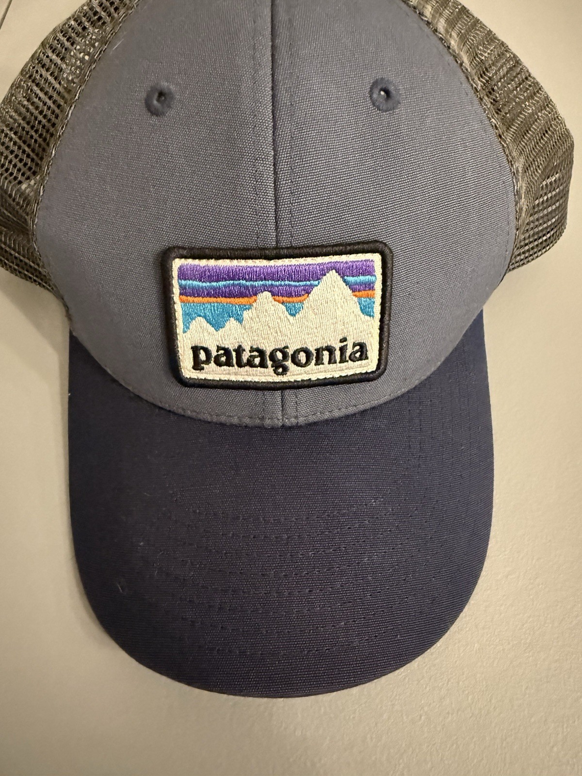 - Blue/gray Webbing