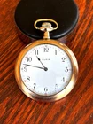 Clean 1896 Elgin 6 Size 15J Oversized Wadsworth Gold-Filled Case  Runs Great!
