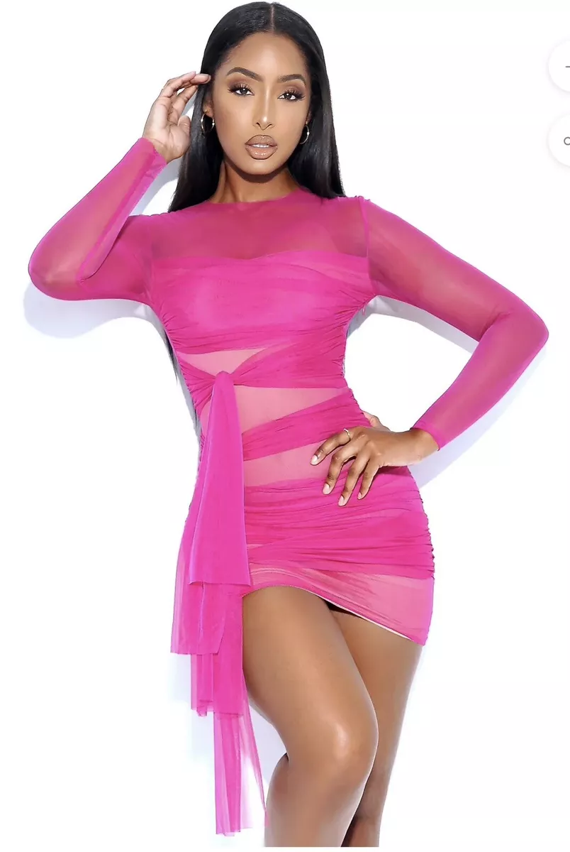 Miss Circle Gillian Fuchsia Long Sleeve Mesh Dress size L