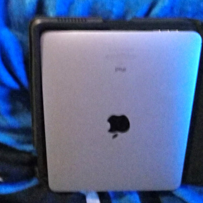 Apple iPad Tablet 9.7in 16GB Wi Fi + 4G Silver (Apple iPad)