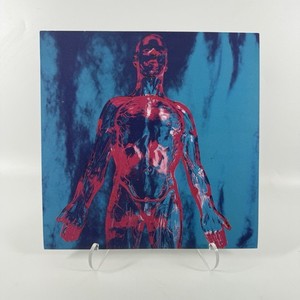 Nirvana Sliver | eBay