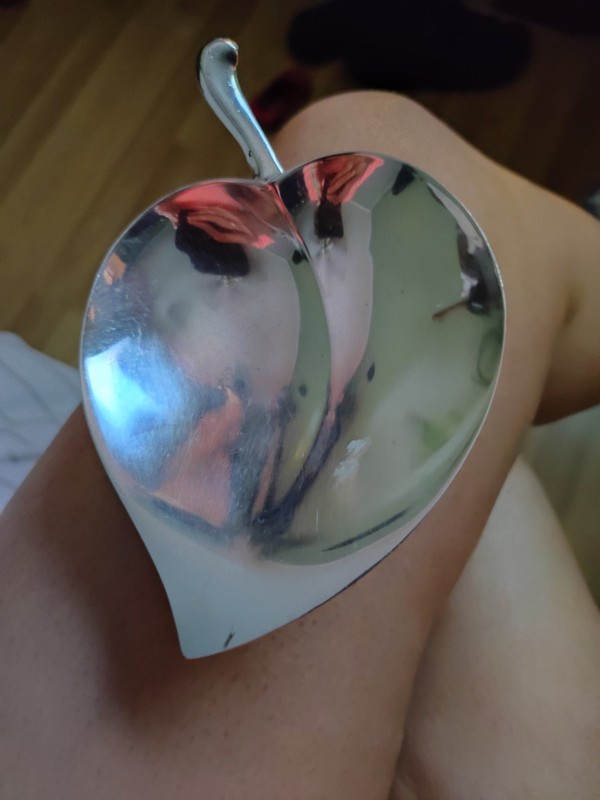 f b rogers silver co 1883 leaf shape dish