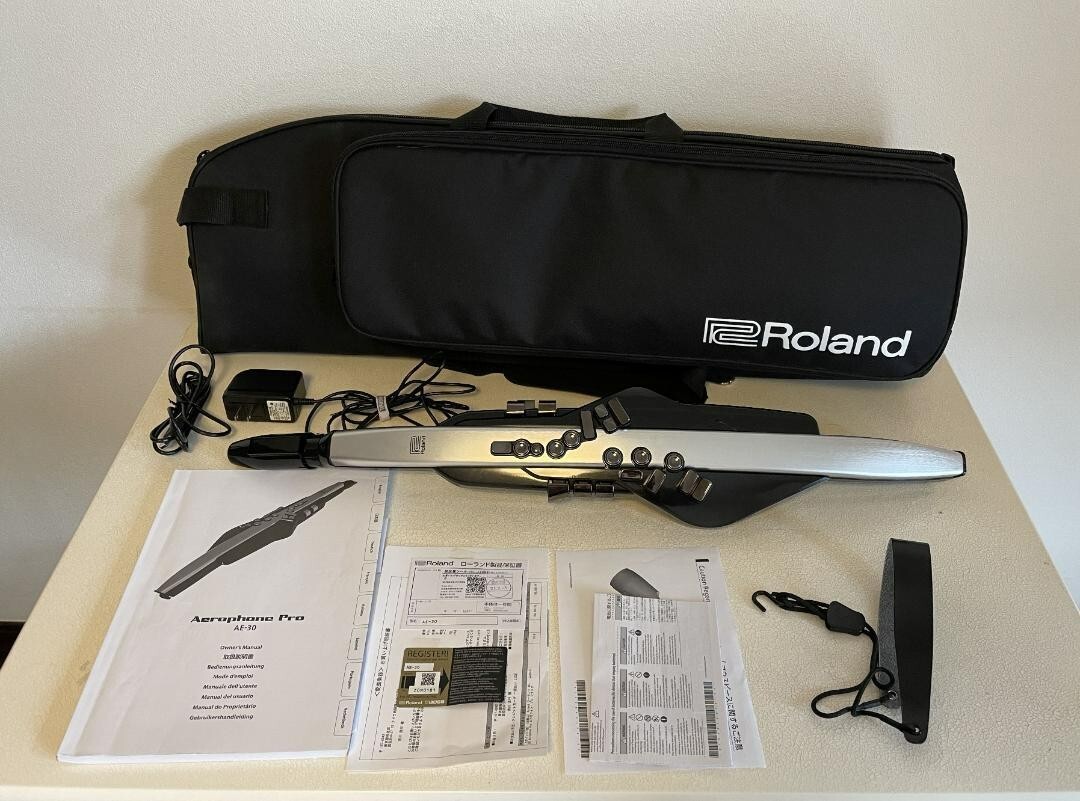 Roland Aerophone Pro AE-30　キャリングケース付き ローランド 【最短翌日お届け】ローランド Roland デジタル