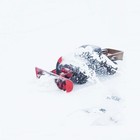 Bild 13 von 13