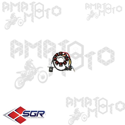 STATOR MAGNET SCHWUNGRAD SGR 163585 BETAMOTOR ARK EURO 2 CHRONO EIKON TIME 13 16