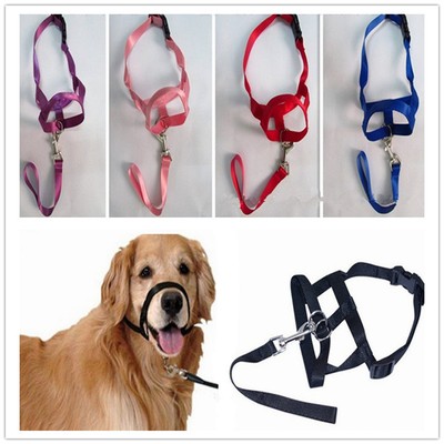 dog muzzle leash