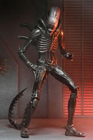 Neca Alien - Romulus - Xenomorph XX121 - Ultimate Actionfigur 7 Inch / 18Cm Ovp