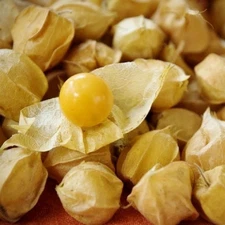 Pineapple Tomatillo, 50 Seeds, BUY 2 GET 1 FREE, Goldenberry, NON-GMO, FREE SHIP