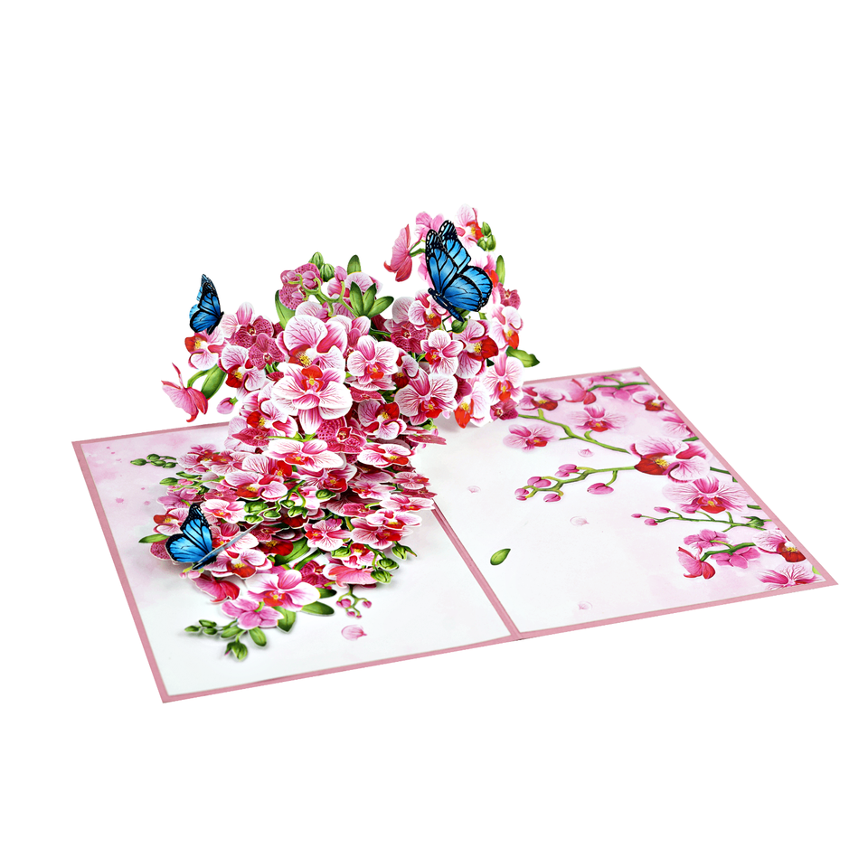 3D Pop Up Greeting Card Flower Floral Butterfly Birthday Thank You ...