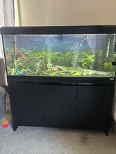 Fluval Tropical Fish Tank240
