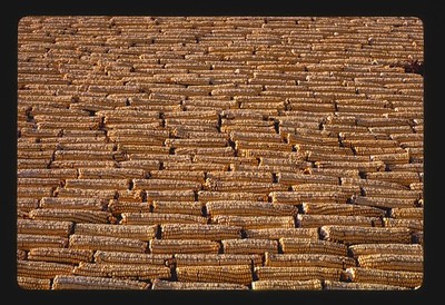 Photo:Mitchell South Dakota Corn Palace 1987 Corn Cob Exterior Close Up