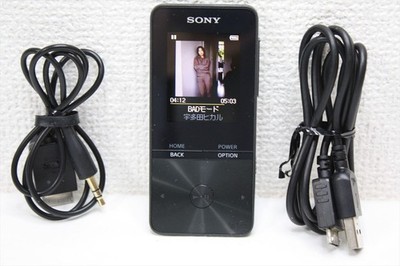 Sony NW-S313 / Black Walkman 4GB Digital Music Player Bluetooth Near Mint #520