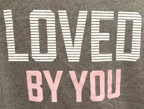 Chris Tomlin Sweatshirt Gray Pink Large Hoodie LOVED BY YOU Song New HTF🎗️ image 6