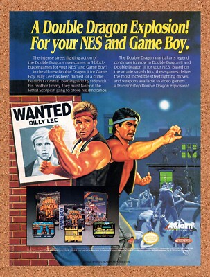 1991 Double Dragon NES Original Advertisement / Retro Wall Art v4