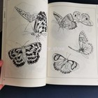 Picture 8 of 9