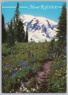 Mount Rainier State Park Washington~Mount Rainier~Continental Postcard