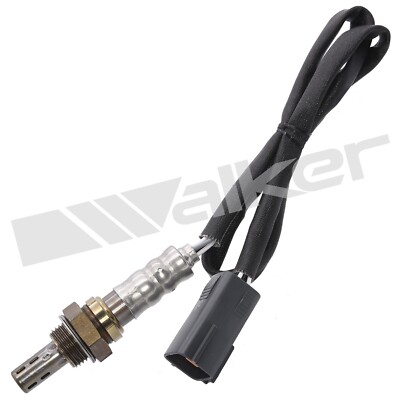 Walker Oxygen Sensor for 6, 626 250-24376
