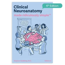 Clinical Neuroanatomy Made Ridiculously Simple by Stephen Goldberg (2014, Trade