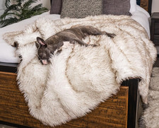 Waterproof Pet Blanket for Couches, Sofas  Car Seats - 60"x50