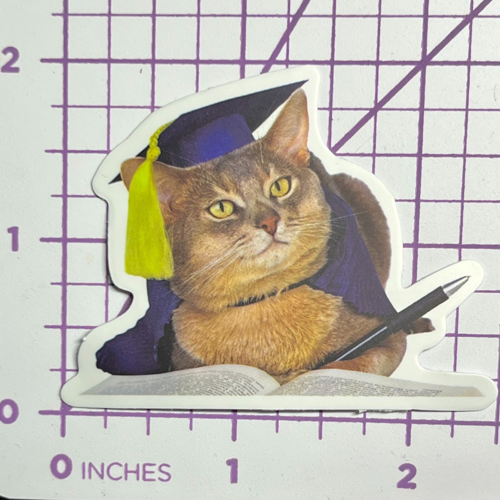 Scholarly Life - The Graduate - Vinyl Sticker Decal Sticker Bomb Humor Funny