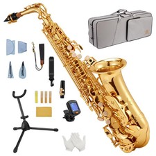 STRICH Eb Alto Saxophone Brass Student Beginner Alto Sax Kit with Hard Case