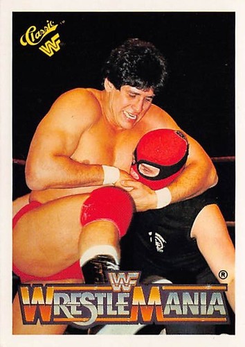 WWF 1990 Classic Wrestlemania Cards (Pick your Grappler) WWE (Opened 2/20/25)) - Picture 2 of 135