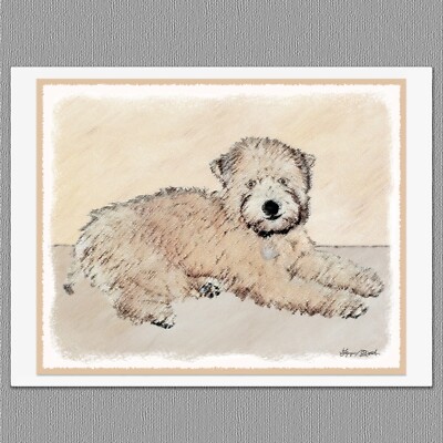 6 Soft Coated Wheaten Terrier Dog Puppy Blank Art Note Greeting Cards