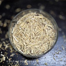Ginseng Panax ginseng Wicca Pagan Spell Herb Supplies Wildcrafted Ritual 