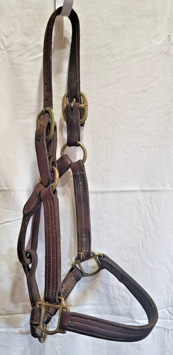 Double Stitched  Leather Halter~Brass Nameplate~FULL Horse Sz~BROWN