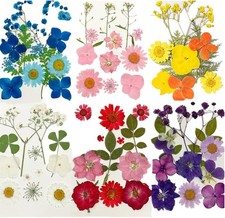 Getrocknete Blumen DIY Natur Epoxidharz Scrapbooking Kerzen Seifen 72 St&uuml;ck