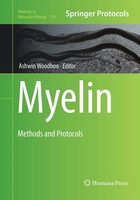 Ashwin Woodhoo | Myelin | Taschenbuch | Englisch (2019) | Methods And Protocols