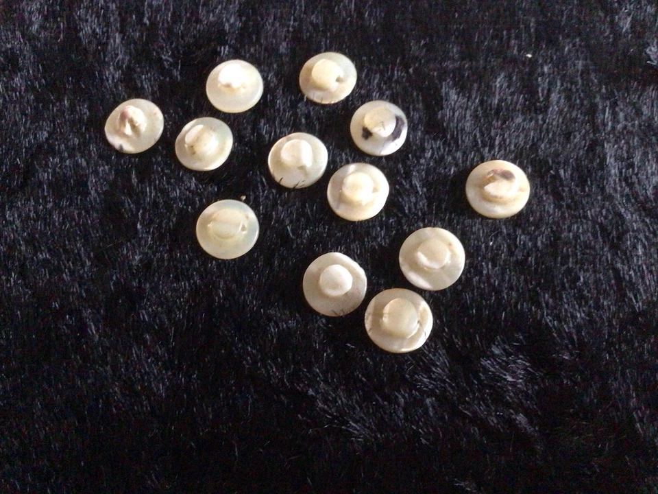 Antique Mother of Pearl Buttons x 12 Small Sewing Crafts - Image 4 of 4