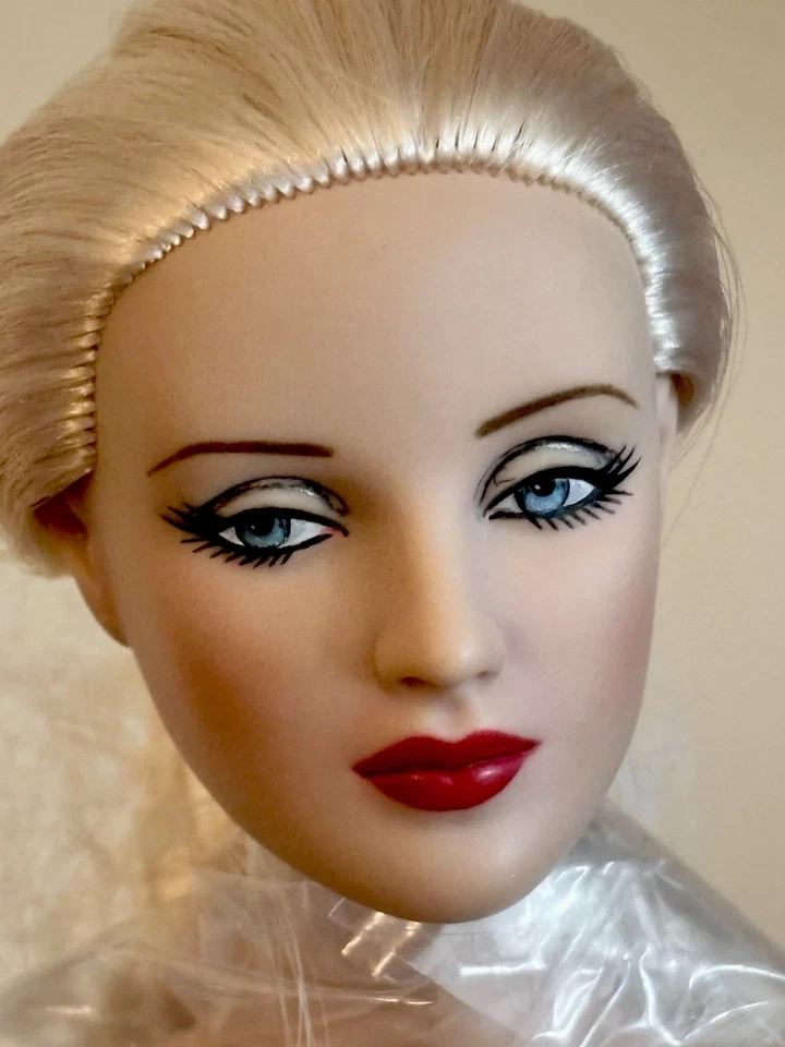 Tonner Cami “ANTOINETTE CHILLED” DOLL RARO RUBIO PLATINO 16” LE300 ORIGINAL COMO NUEVO Foto 2 de 4