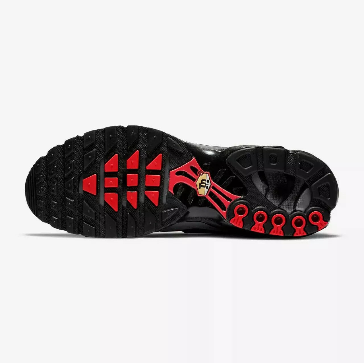 air max plus euro tour