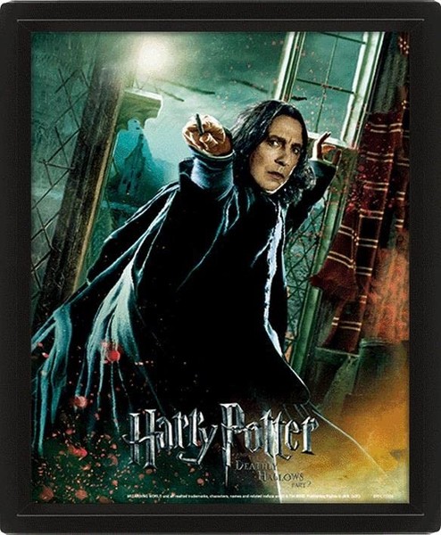 Harry Potter Deathly Hallows Snape - Framed - Paperback - G245Z-image