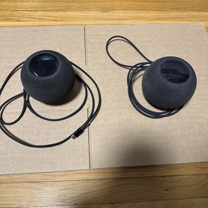 Apple Homepod Mini Space Gray | eBay