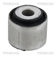 Triscan Lagerung, Lenker Hinten, Hinterachse, Innen, Mitte, Oben